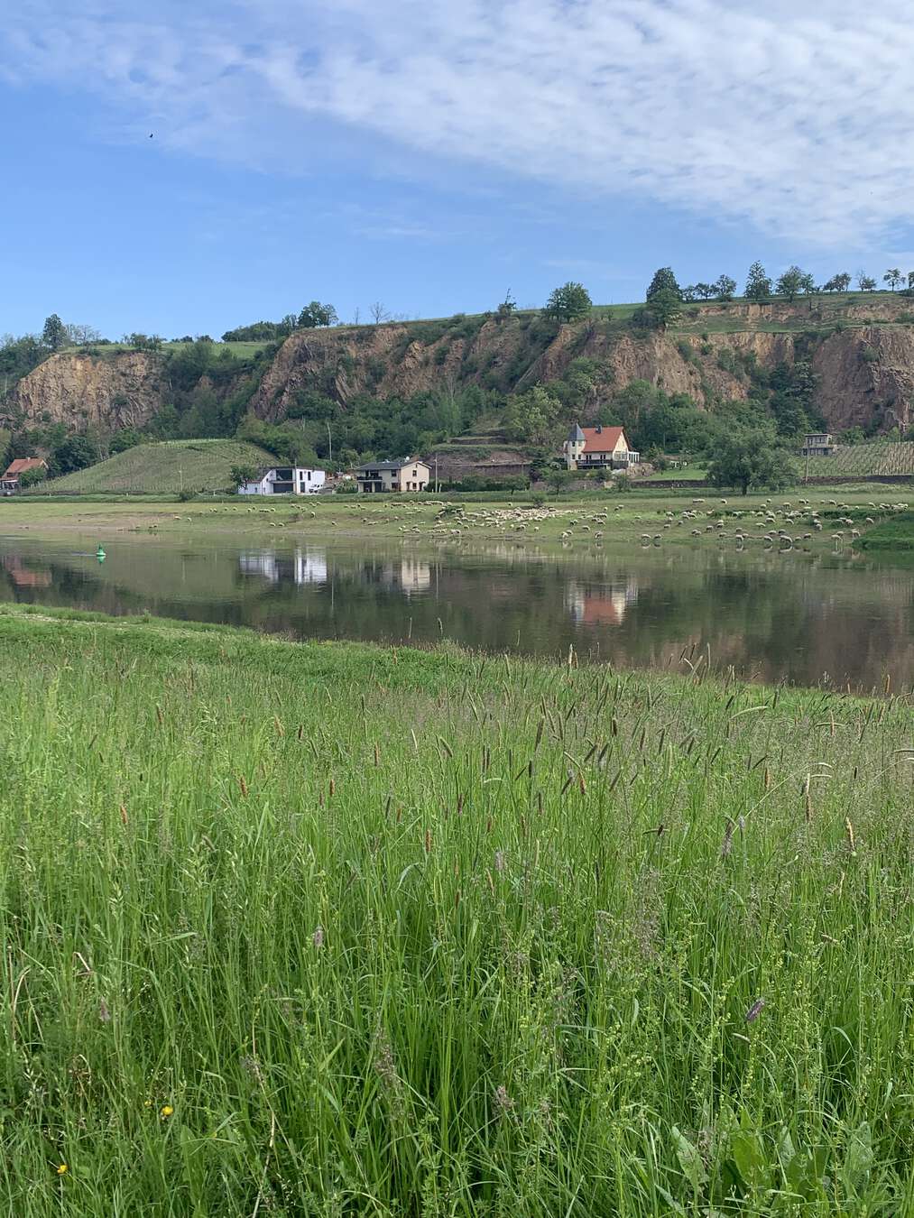 Elbe vor Meißen